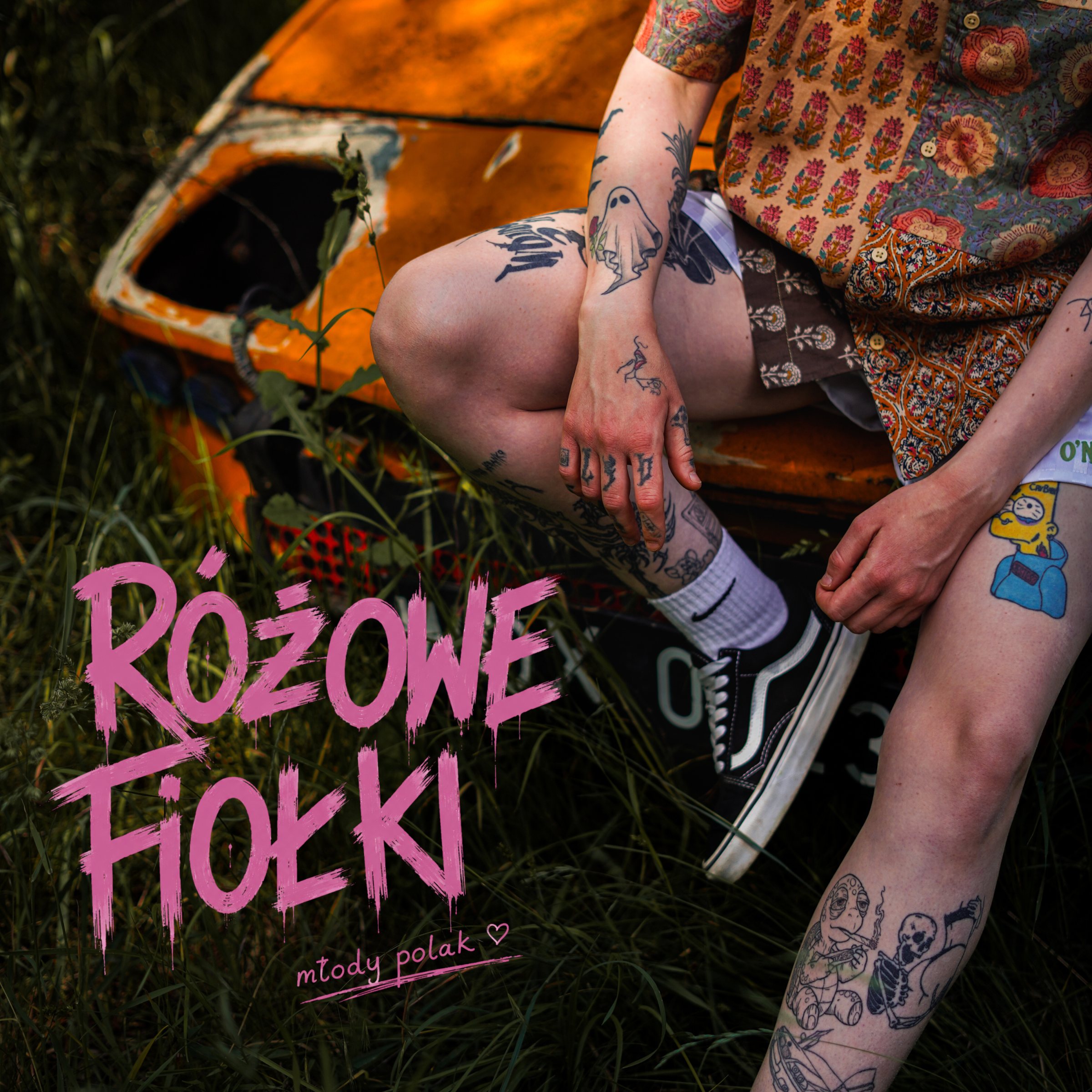 Różowe fiołki